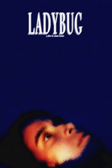 Ladybug poster