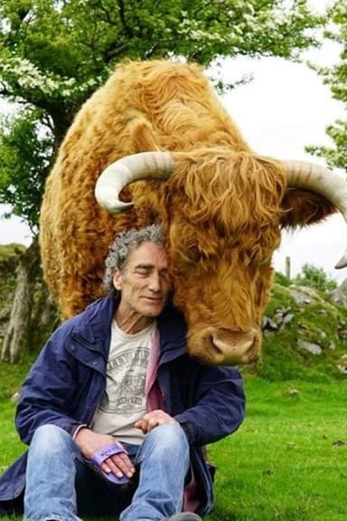 Tony & The Bull poster