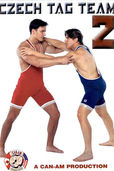 Czech Tag Team 2 poster