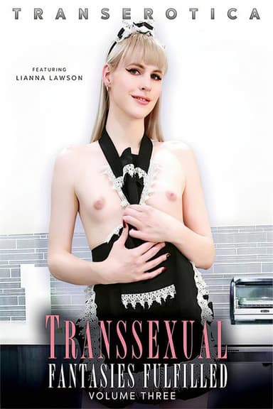Transsexual Fantasies Fulfilled 3 poster