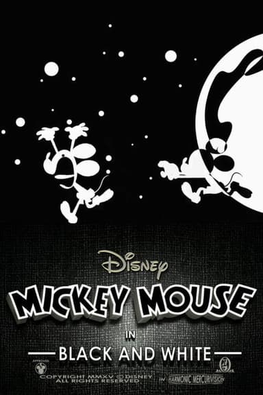 Black and White poster