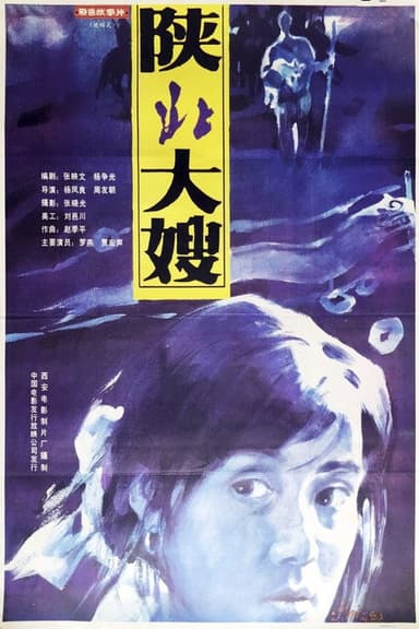 A Woman from North Shaanxi poster