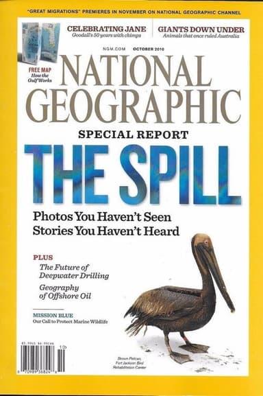 Gulf Oil Spill poster