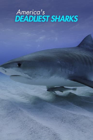 America's Deadliest Sharks poster