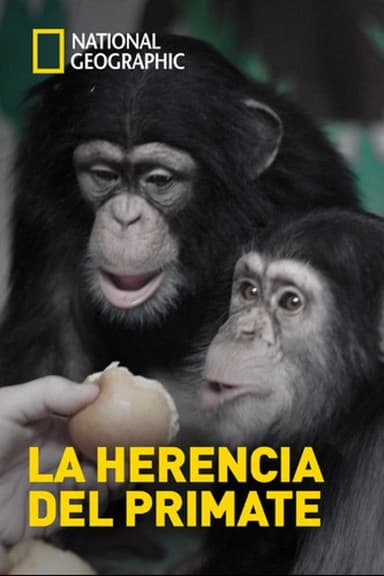 The Human Ape poster