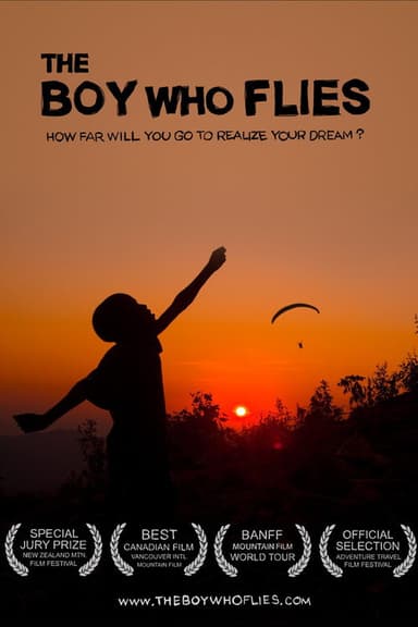 The Boy Who Flies poster