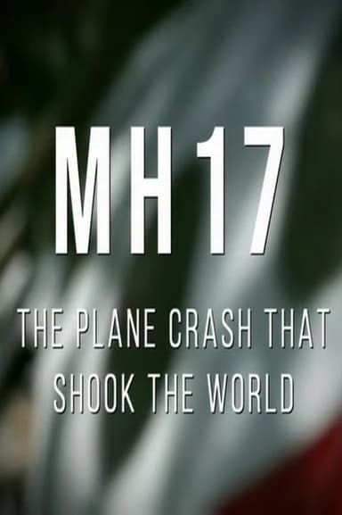 MH17: The Plane Crash That Shook The World poster