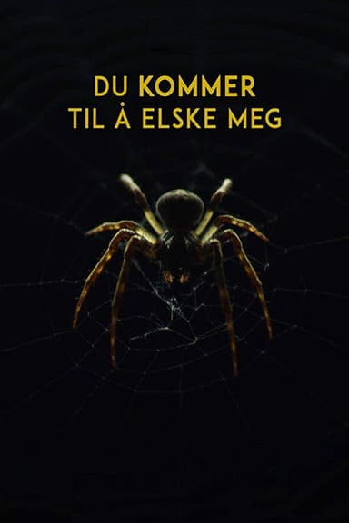 You Will Love Me poster