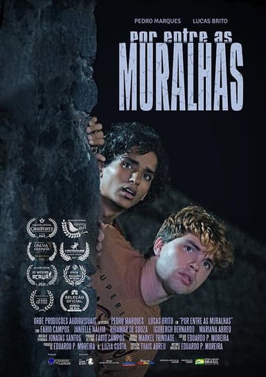Por Entre As Muralhas poster