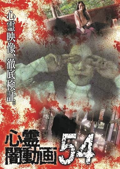Psychic Darkness Video 54 poster