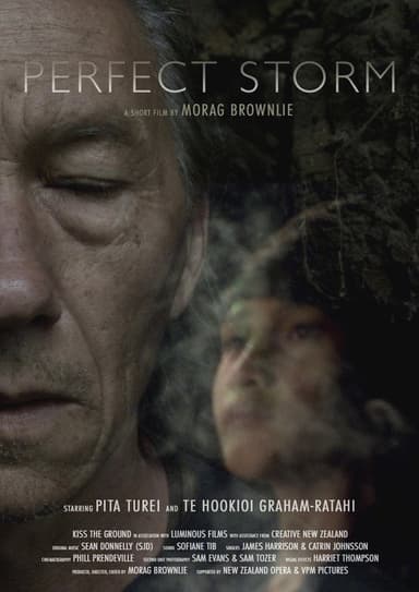 Perfect Storm poster