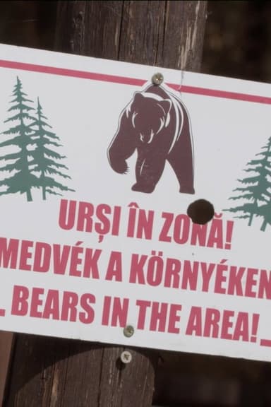 Szomszédok poster