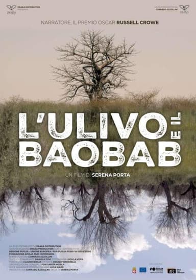 The Olive Tree and the Baobab poster