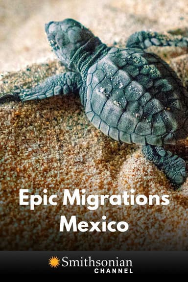 Epic Animal Migrations: Mexico poster