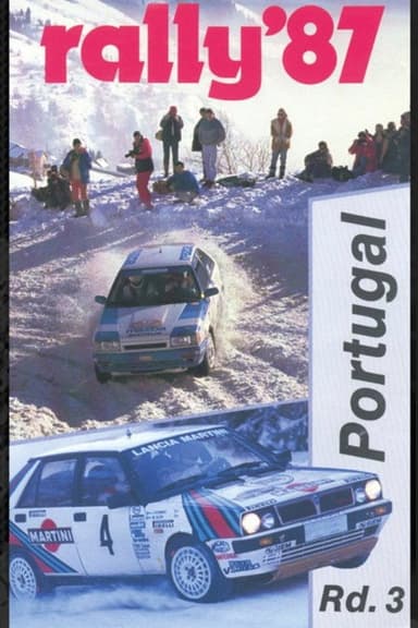 Rally de Portugal 1989 poster