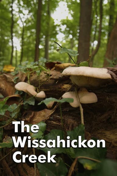 The Wissahickon Creek poster