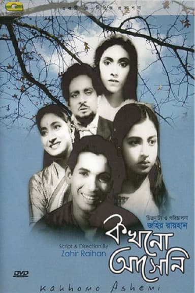 Never Came poster