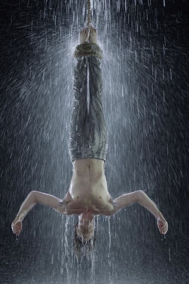 Martyrs poster