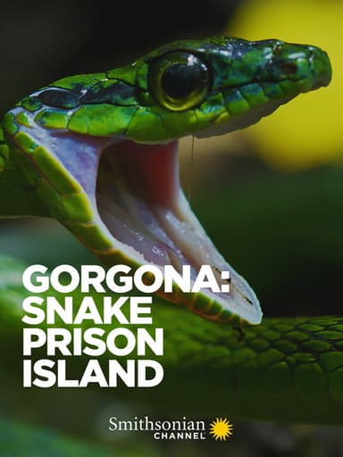 Gorgona: Snake Prison Island poster