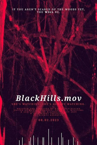 BlackHills.mov poster