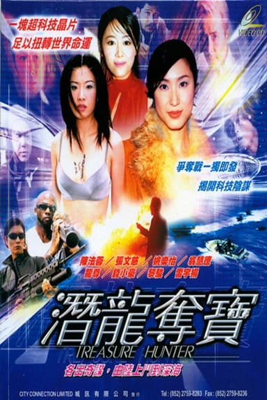 Treasure Hunter poster