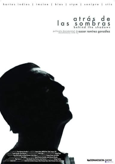 In the Shadows poster