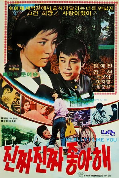 Really I Like You poster