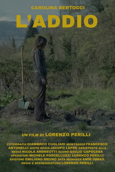 The Farewell poster
