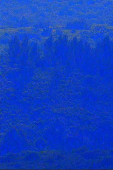 Coma Serrat poster