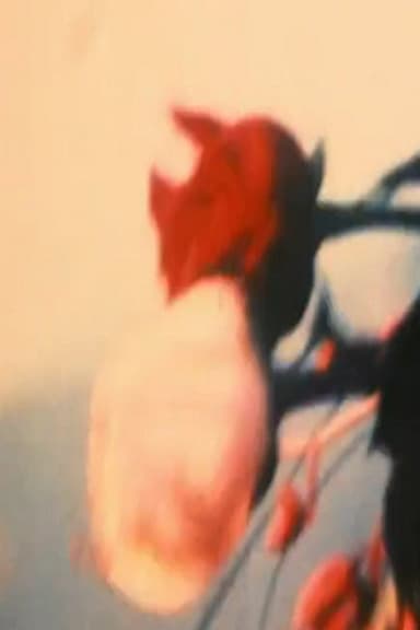 Fisherman poster