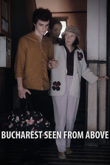 Bucharest Seen from Above poster