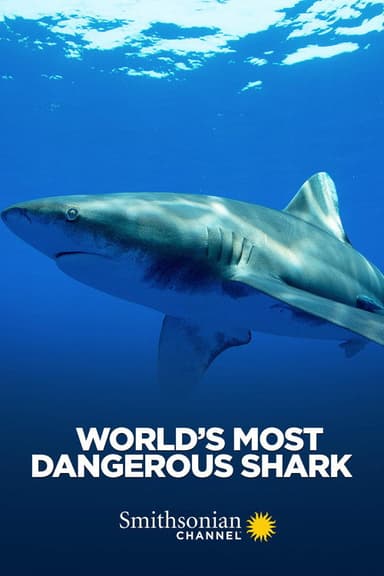 World's Most Dangerous Shark poster