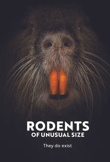 Rodents of Unusual Size poster
