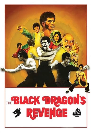 Black Dragon's Revenge poster