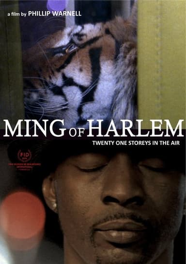 Ming of Harlem: Twenty One Storeys in the Air poster