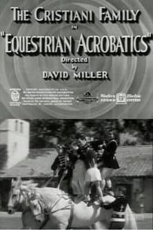 Equestrian Acrobats poster