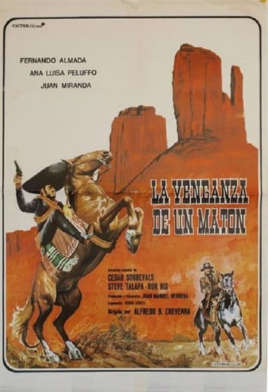 La venganza de un matón poster