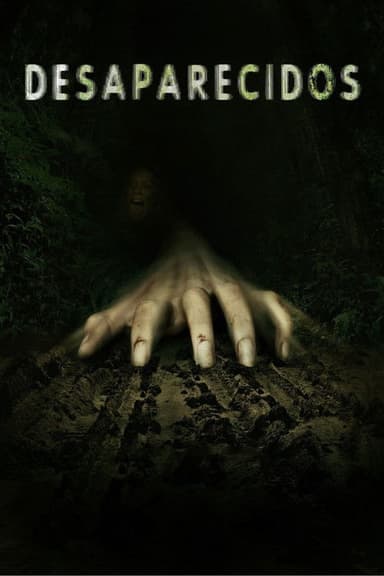 Missing poster