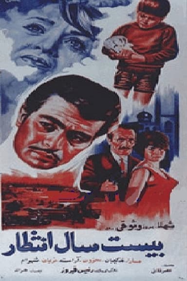 Twenty Years of Waiting poster