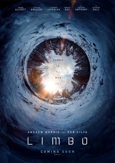 Limbo poster