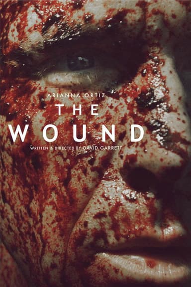 The Wound poster