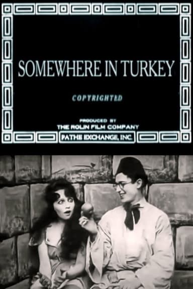 Somewhere in Turkey poster