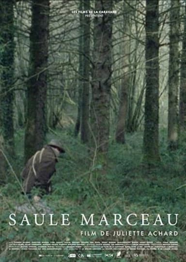 Saule Marceau poster