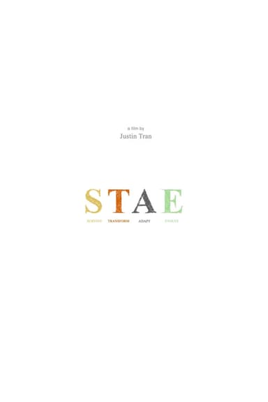 STAE poster
