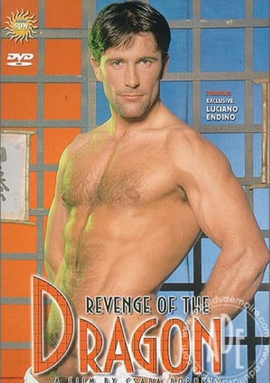 Revenge Of The Dragon poster