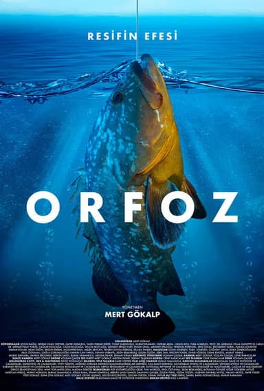 Orfoz: Resifin Efesi poster