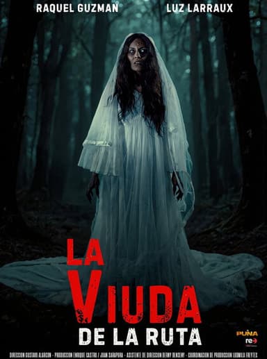 The Widow of the Road poster