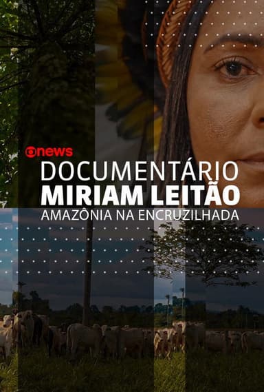Amazônia na Encruzilhada poster
