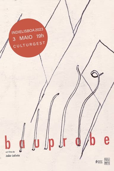 BAUPROBE poster