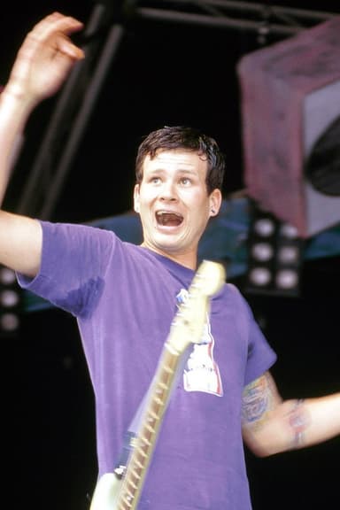 blink-182: Live from Big Day Out Sydney poster